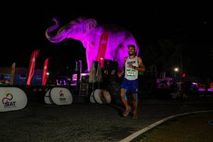 BIB: 
                            <button type="button" onclick="openModal(26534282)" class="btn btn-primary btn-sm float-right btn-popup" data-toggle="modal" data-target=".modal-high-quality">
                        <i class="fas fa-shopping-cart"></i> Add to Cart
                    </button>
                                            <button type="button" onclick="isThisMe(26534282, true)" class="btn btn-success btn-sm float-right btn-popup btn-isme hidden" data-toggle="tooltip" data-placement="bottom" title="นี่คือรูปของคุณใช่ไหม คลิกที่นี่เพื่อเอาเข้าอัลบั้ม">
                        <i class="fas fa-plus"></i> Add to album
                    </button>
                    <button type="button" onclick="isThisMe(26534282, false)" class="btn btn-warning btn-sm float-right btn-popup btn-isnotme hidden">
                        <i class="fas fa-ban"></i> Remove from album
                    </button>